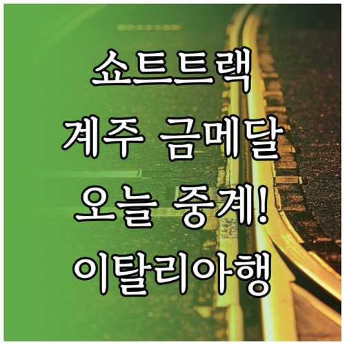 쇼트트랙 남자 계주 결승전 한국 중계..