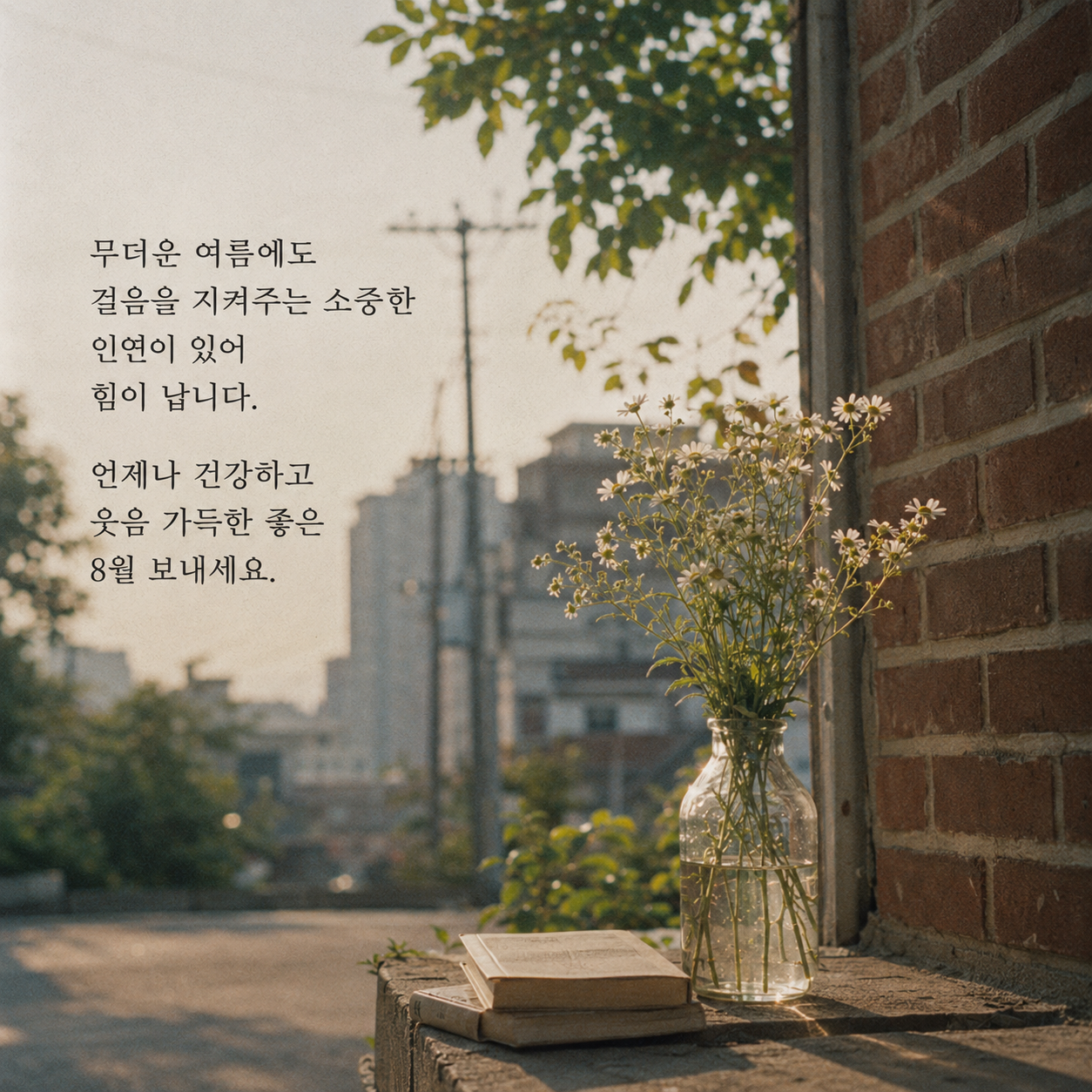 8월 인사말 문구 이미지 모음집