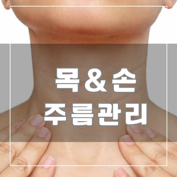 목과 손 주름관리