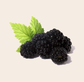 대상포진&amp;#44; 초기에 잡아야 후유증 없다! 