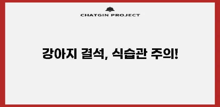 강아지 결석 유발하는 음식 건강에 정말 위험합니다!