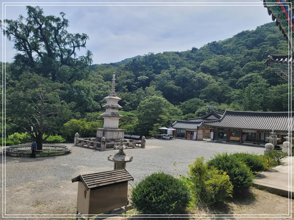 용문사-20250808_140205