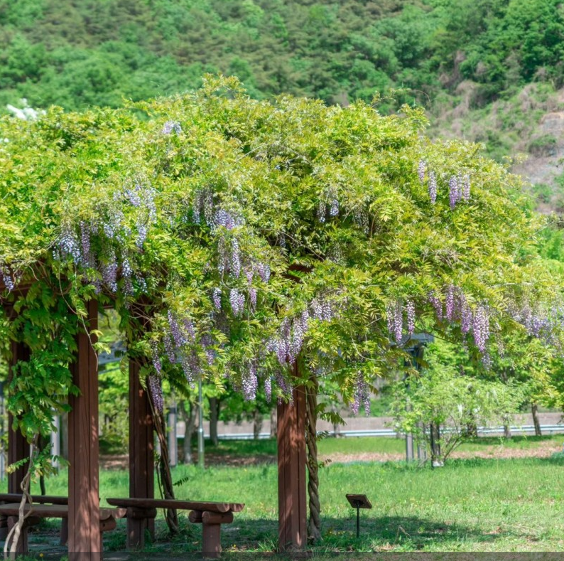 밀양-밀양댐생태공원