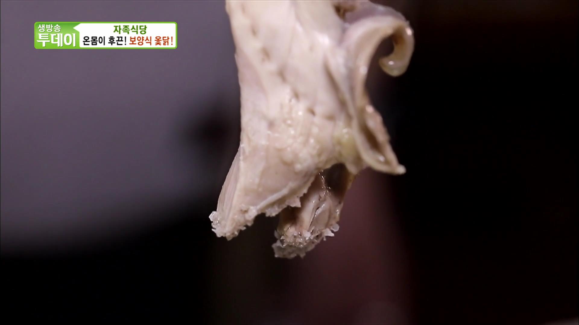 충남 청양 맛집 옻닭백숙