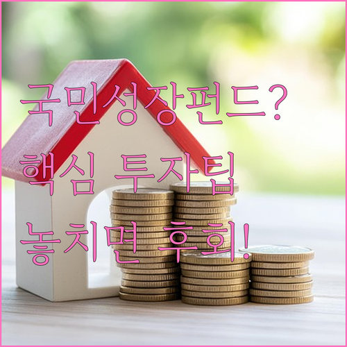 국민성장펀드 투자 정보 정리 및 가입..