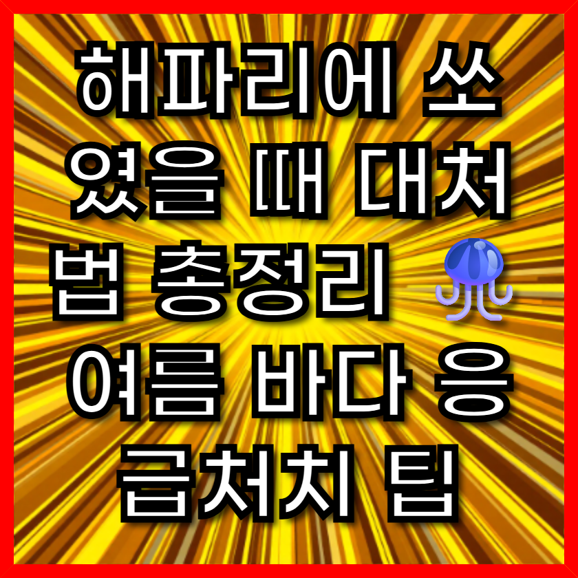 해파리에 쏘였을 때 대처법 총정리 🪼 여름 바다 응급처치 팁