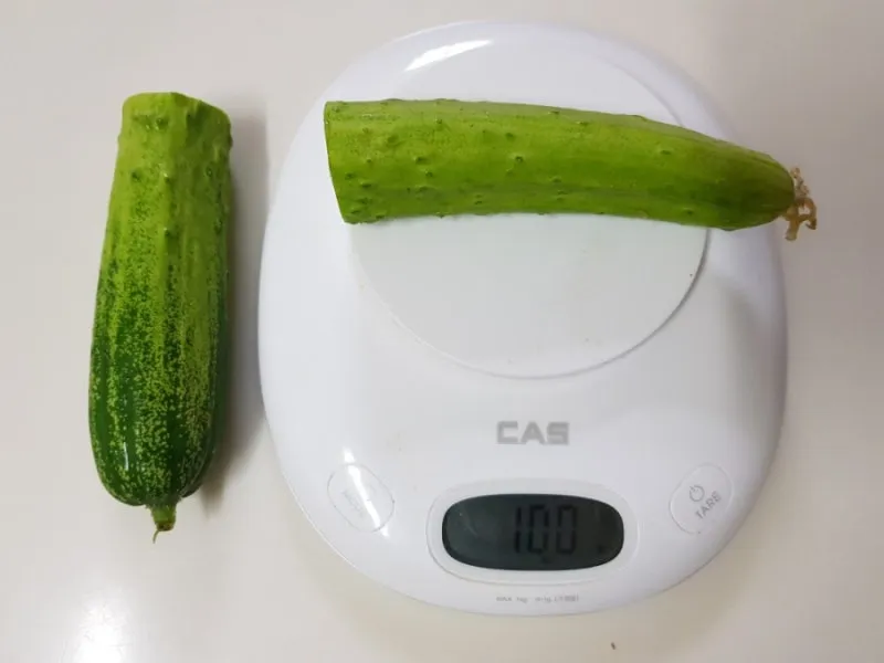 gg_오이 칼로리_16