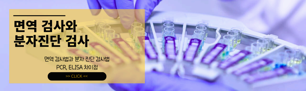면역검사와 분자진단 검사법 총정리! PCR, ELISA 차이점까지!