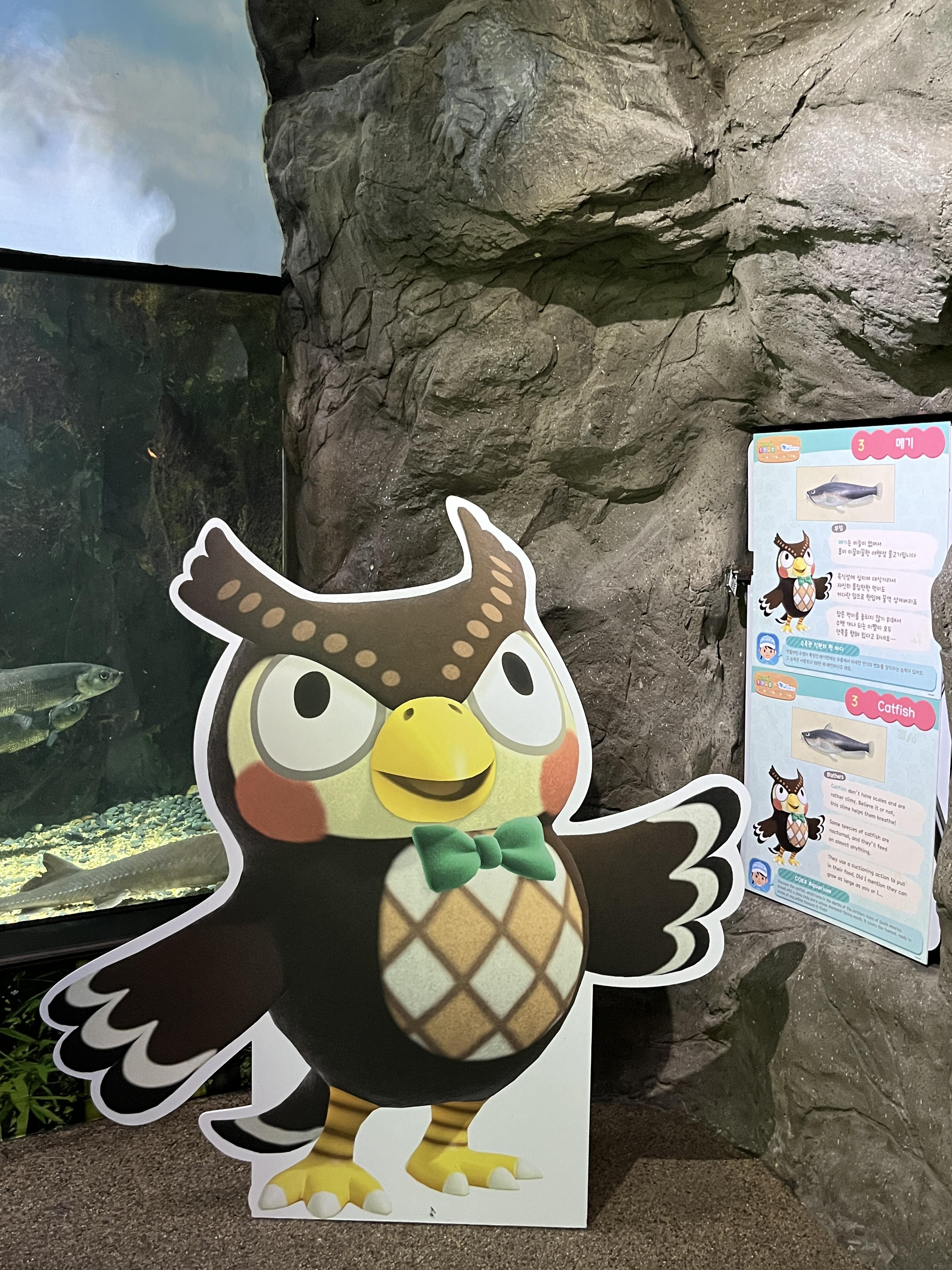 코엑스 아쿠아리움 동물의숲