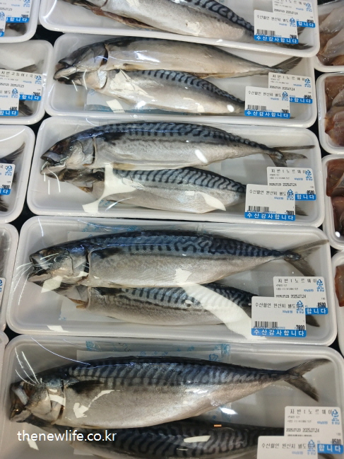 흰색 트레이에 포장된 고등어가 마트 수산 코너에 진열되어 있는 모습