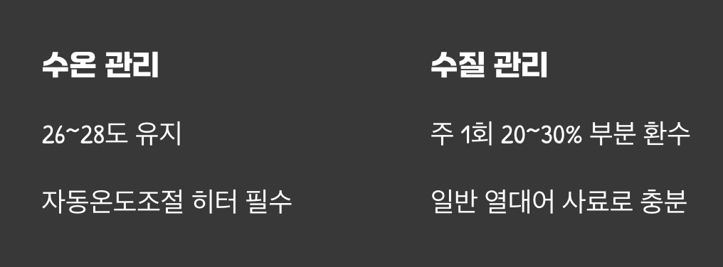 약간의 관심만 필요한 사육 조건