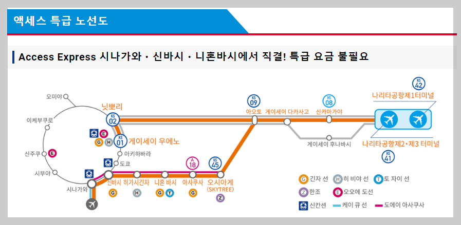 스카이엑세스 노선도