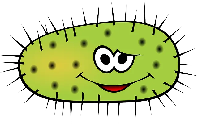 대상포진 : 수두바이러스