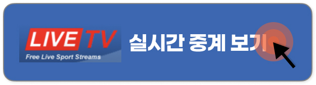 무료 스포츠 중계 사이트