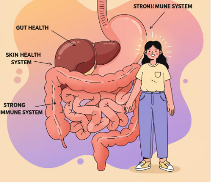 대마종자유의 소화 및 피부건강 효과 일러스트 설명