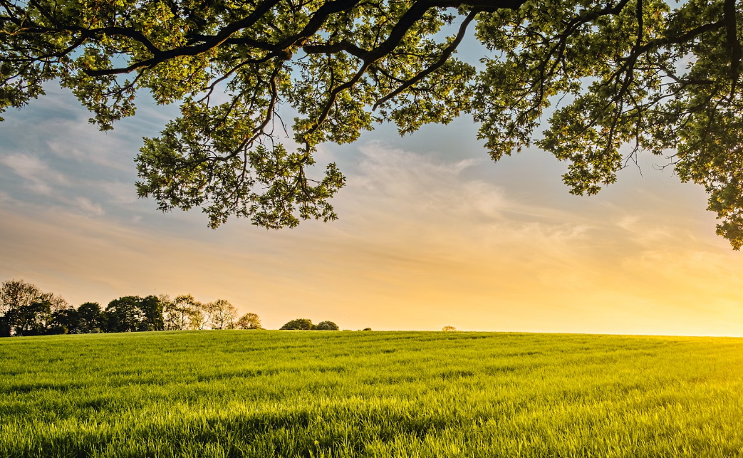 2024 재산세 납부기간 및 납부방법 알아보기!