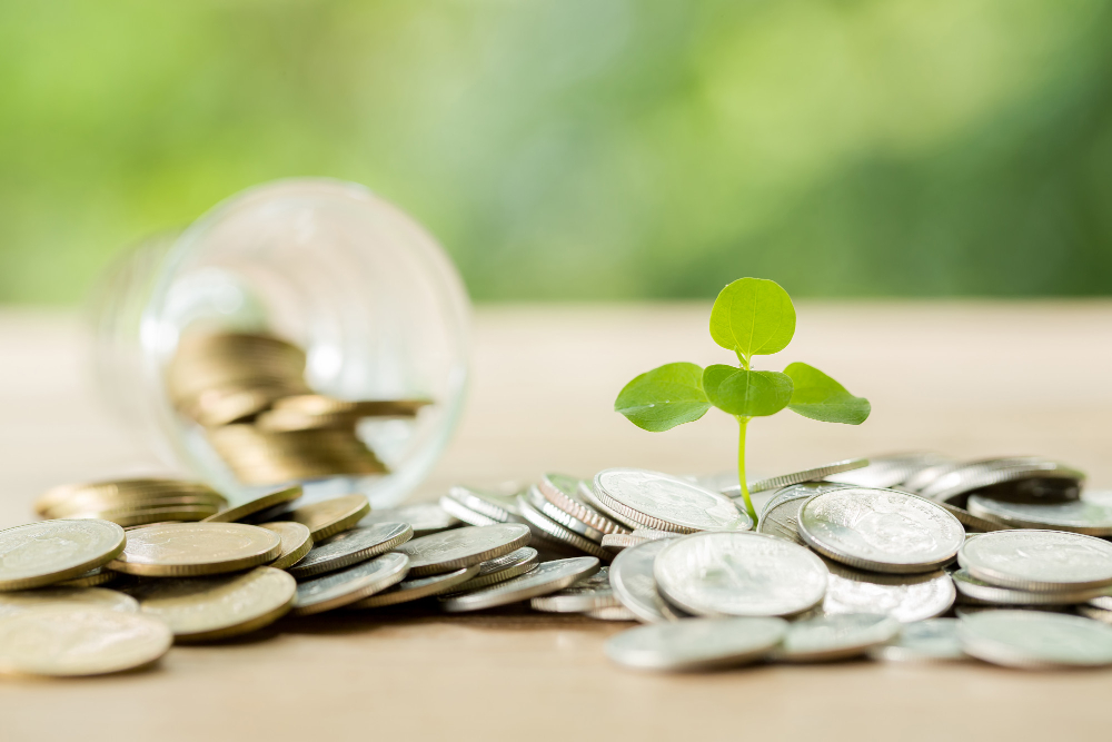 투자 관련 이미지