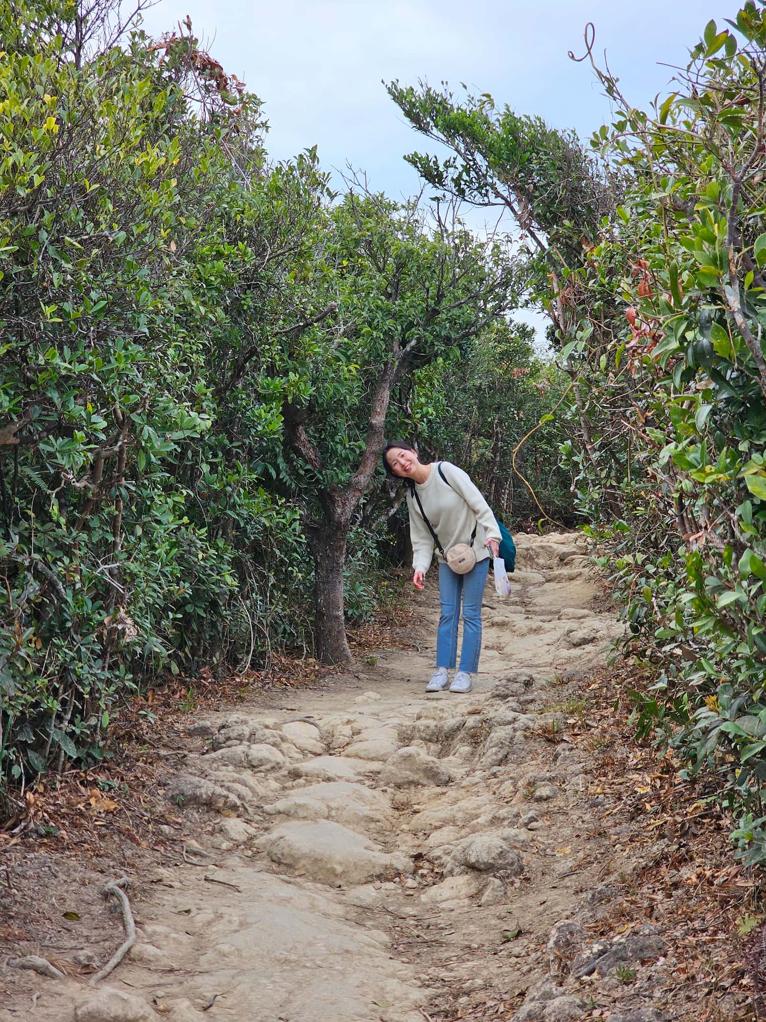 드래곤즈 백 후기
