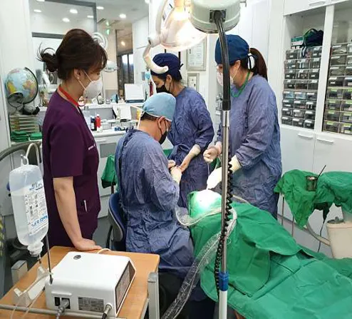 미소담치과의원