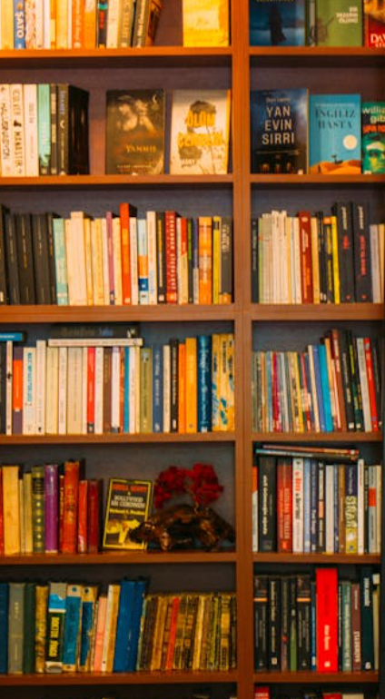 원룸 공간에 배치한 대형 책장 인테리어 예시