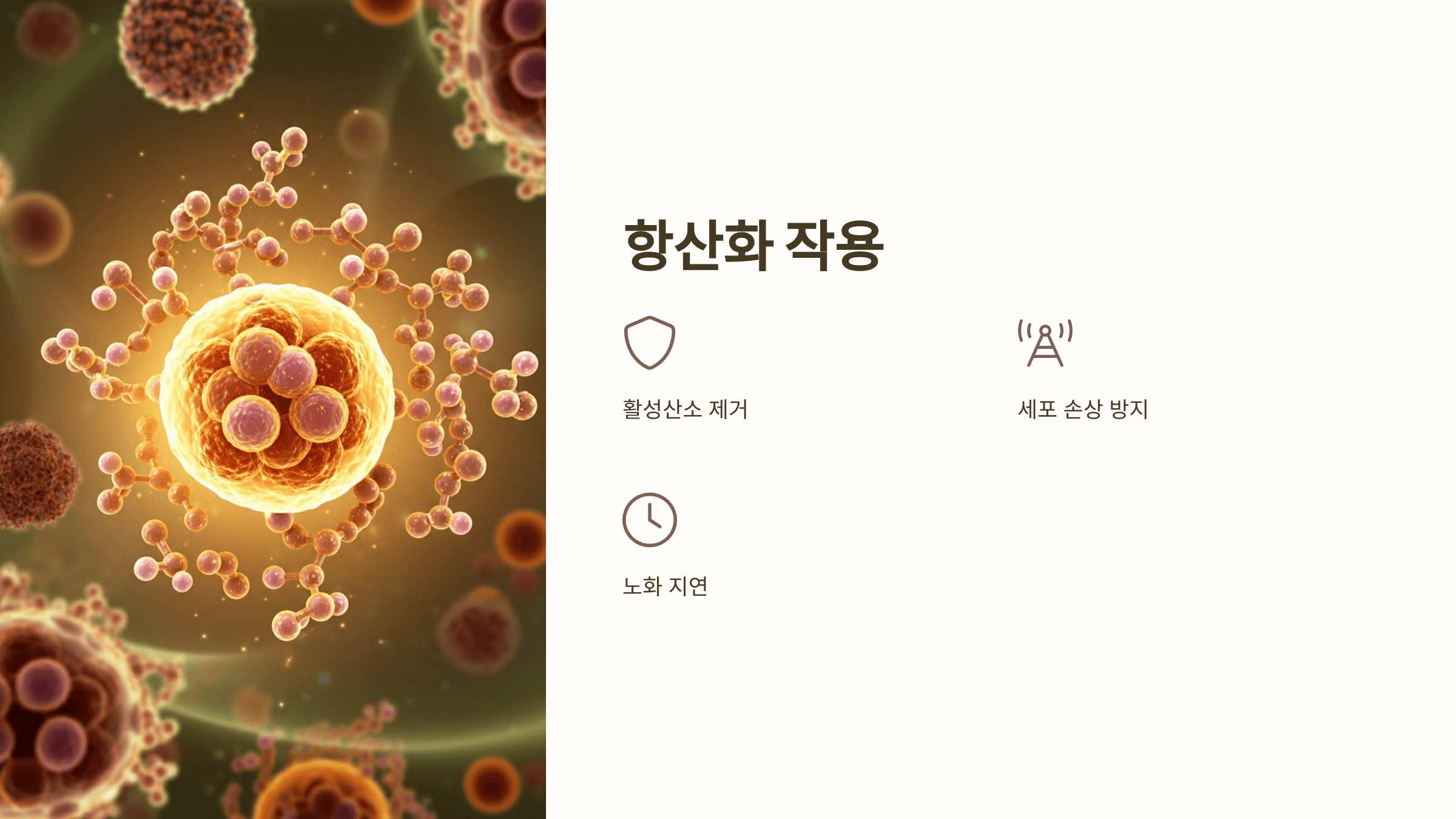 인진쑥 사진입니다.