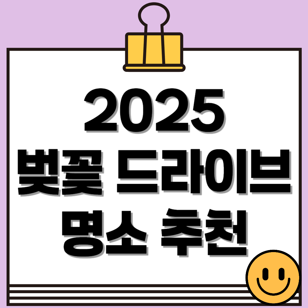 2025 벚꽃 드라이브 명소 추천! 서울부터 전국까지 꽃길 로드맵
