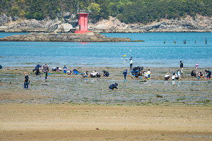 둔촌갯벌체험장