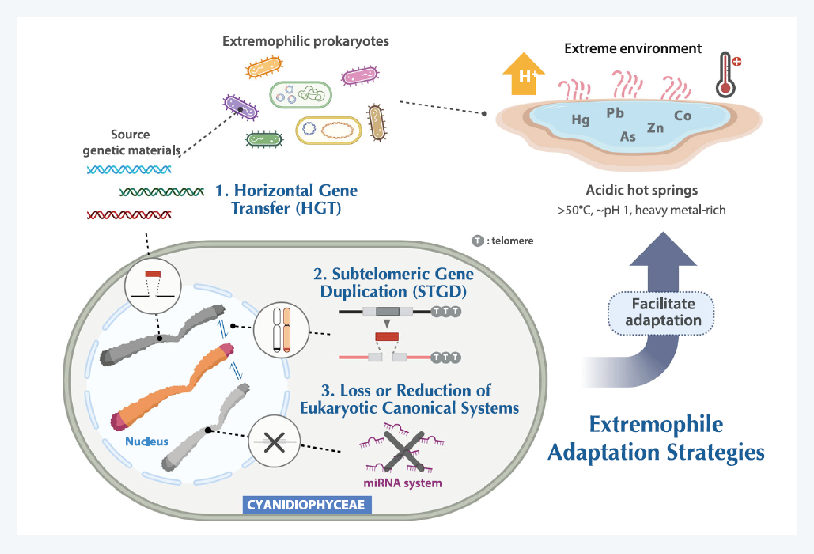 성균관대학교, 해조류