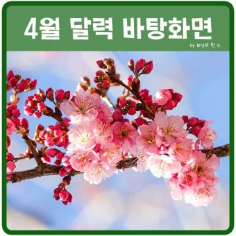 2025년 4월 달력 바탕화면 이미지 모음_9
