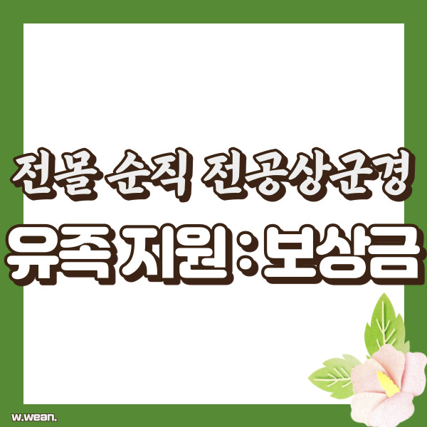 전공상 군경 유족 보상금 - 썸네일