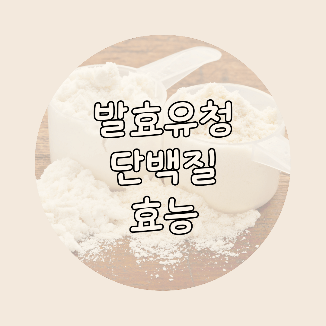 발효유청단백질 효능