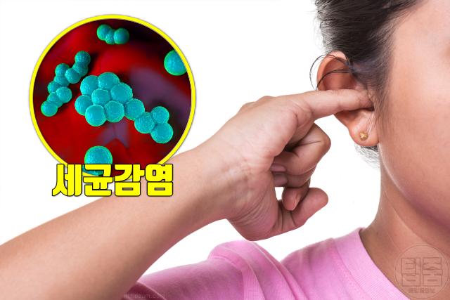 귀 건강 가려움증 감염 습진