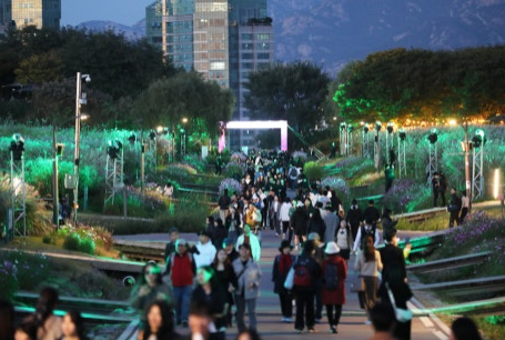 하늘공원 억새축제