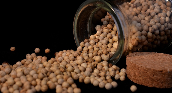 향신료의왕 후추