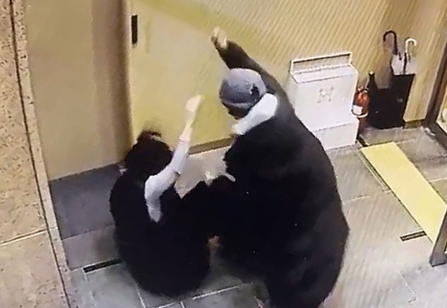 배현진 피습 CCTV