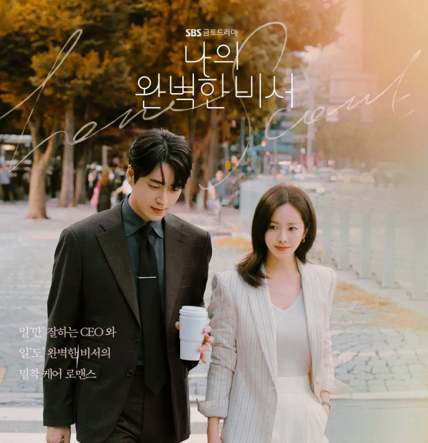 드라마 나의 완벽한 비서