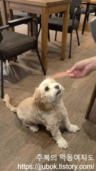 슈비듀밥-닭안심-급여