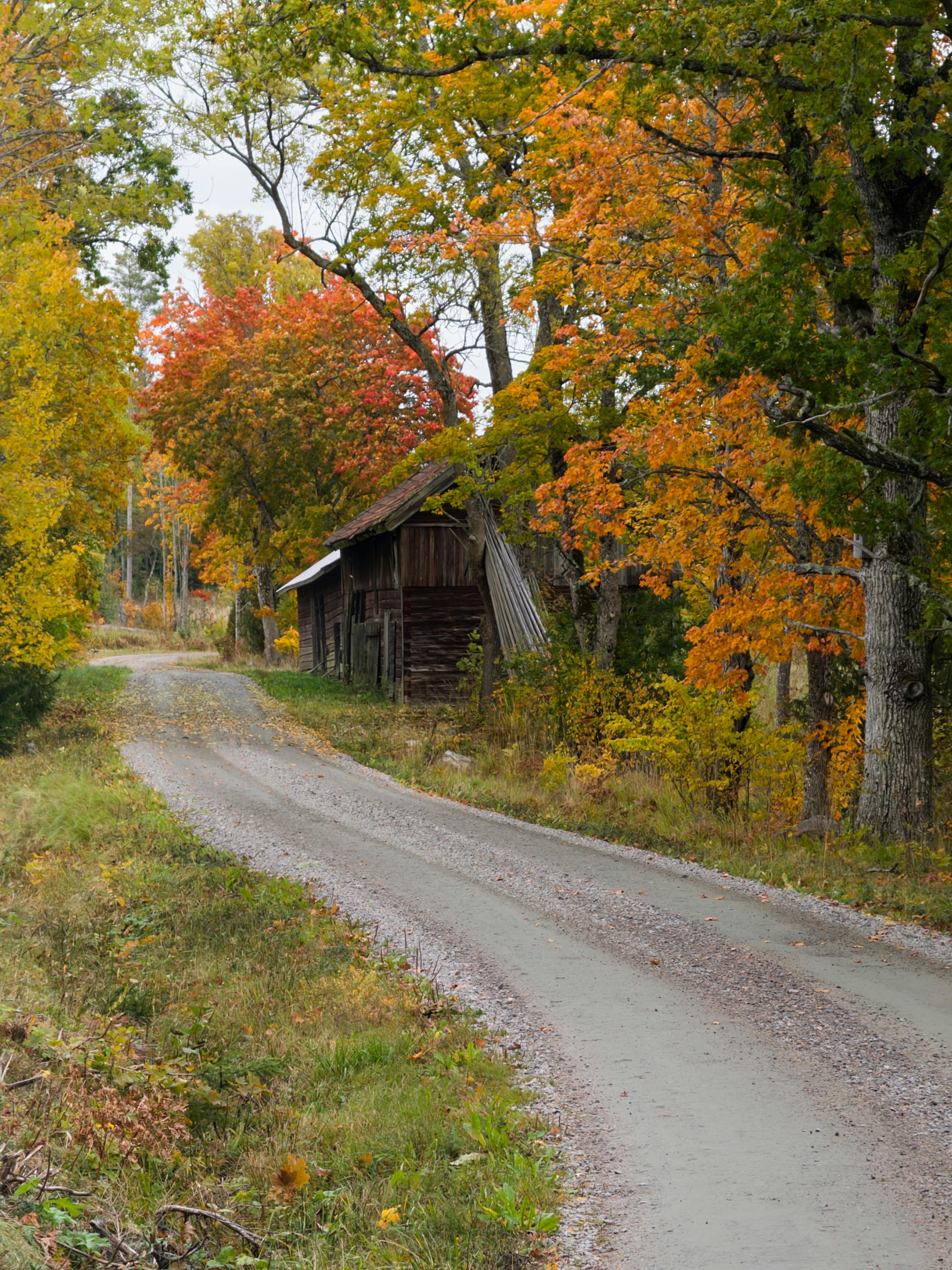 2025 단풍 명소 먹거리 추천