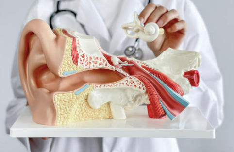 이명 치료 방법 치료 잘하는 병원 증상 원인 알아보기