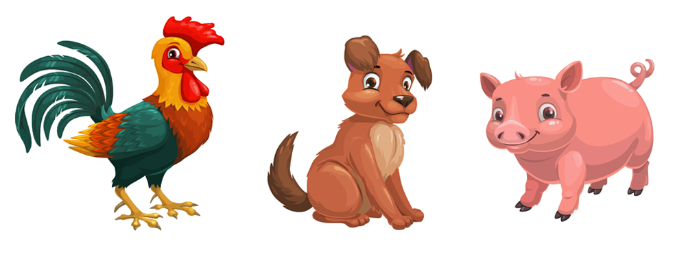 2025년, 닭띠·개띠·돼지띠의 재물과 건강 운세