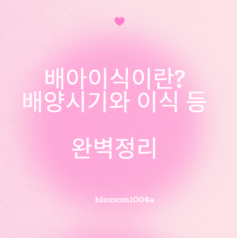 배아 이식이란? 정의 이식시기 배양기간 등 완벽정리