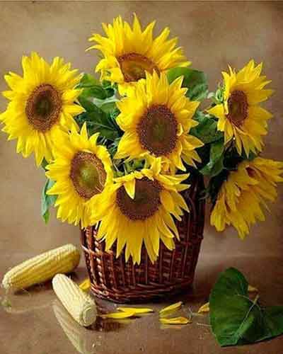 해바라기 꽃바구니