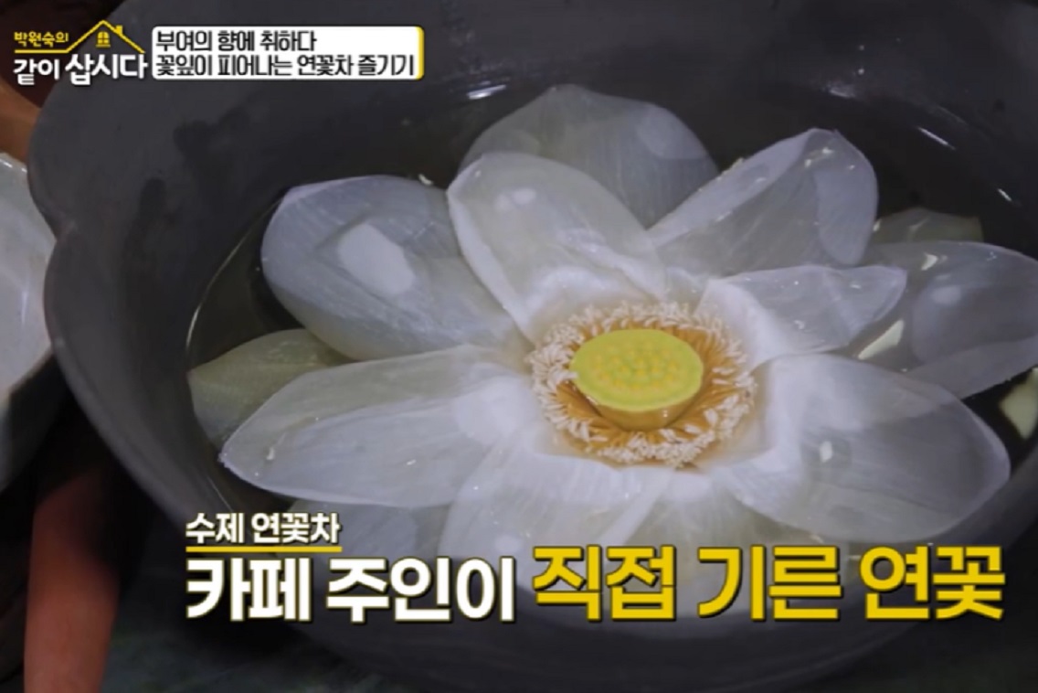 같이삽시다-부여-연꽃차-연꽃빵-백제향