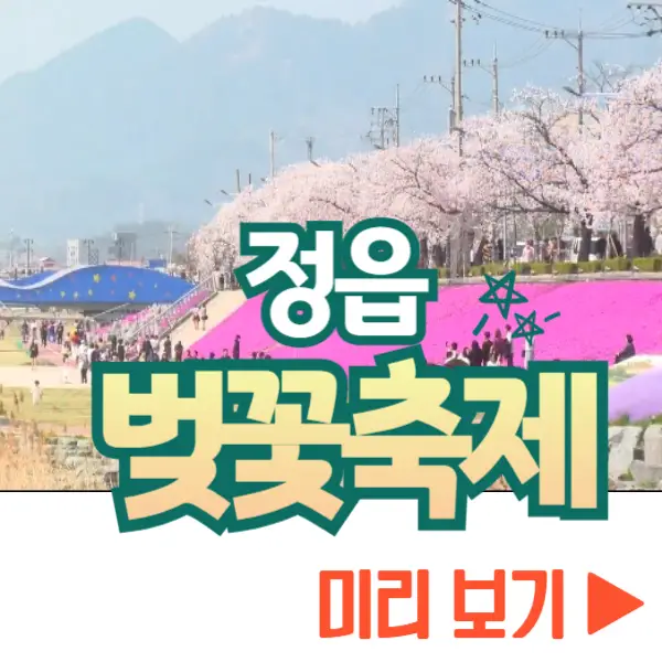 정읍 벚꽃축제 보기