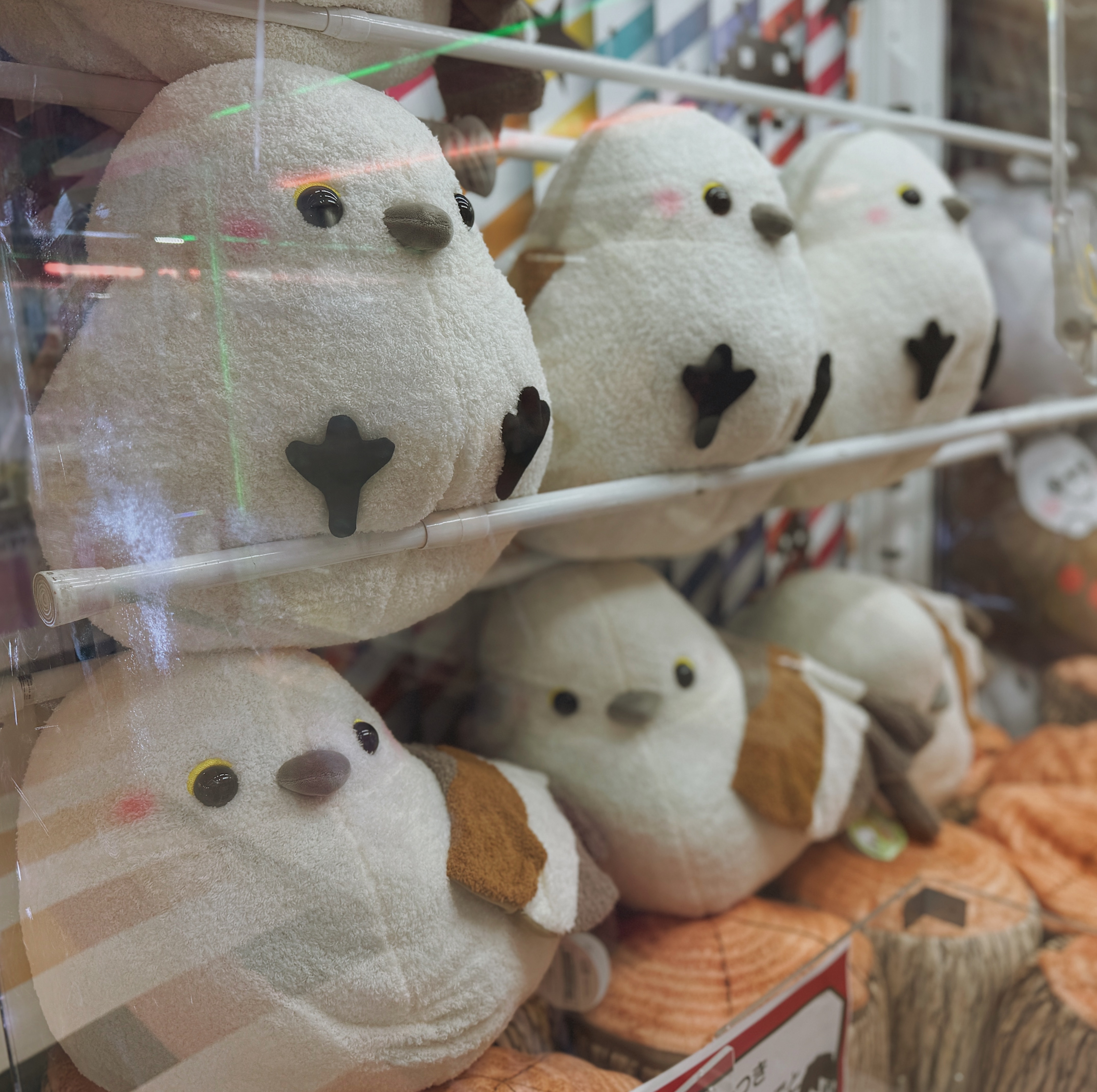 일본 가챠샵 인형뽑기