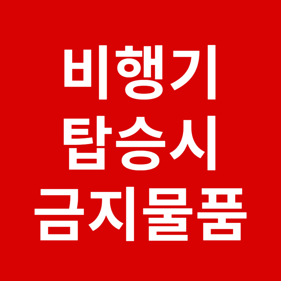 비행기 탑승 시 금지물품