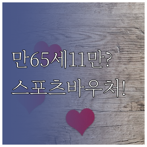 2026년 스포츠 바우처 만65세 이..
