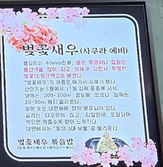 벚꽃새우