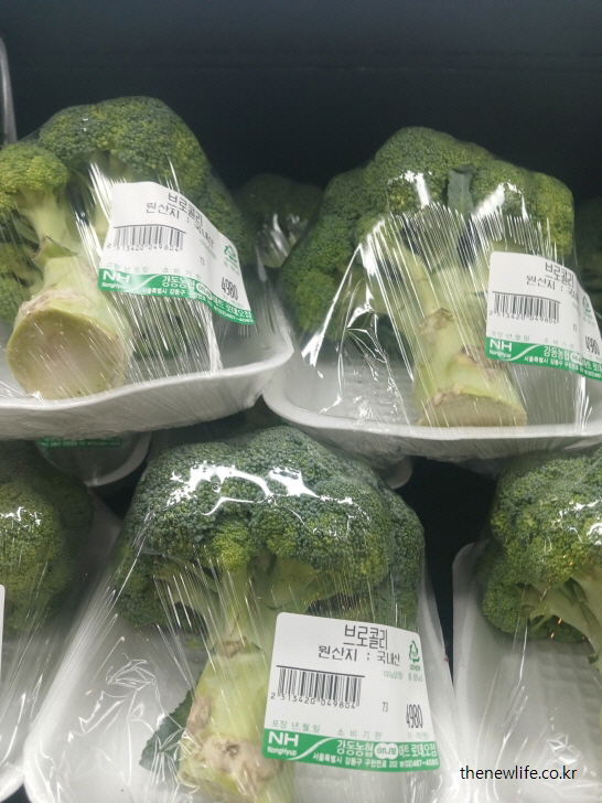 철분과 엽산이 풍부해 혈류 개선 및 산소 공급을 돕는 여성 탈모에 좋은 브로콜리