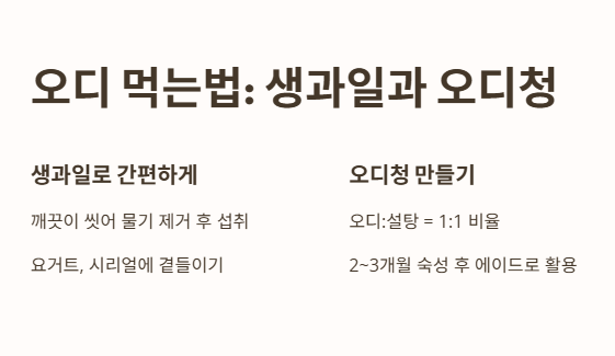 오디 먹는법: 다양하게 즐기는 꿀팁